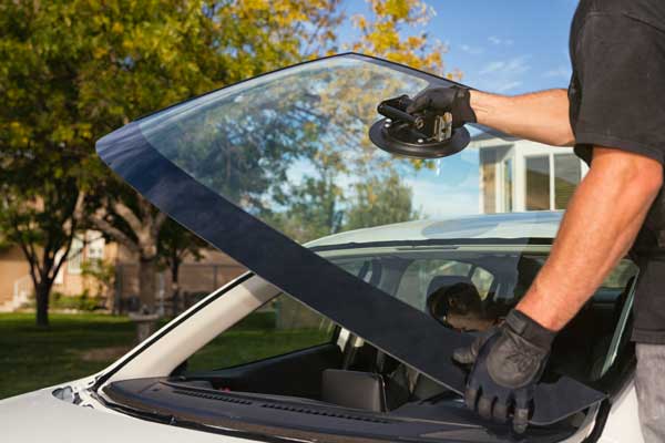 Tampa Auto Glass & Windshield Services